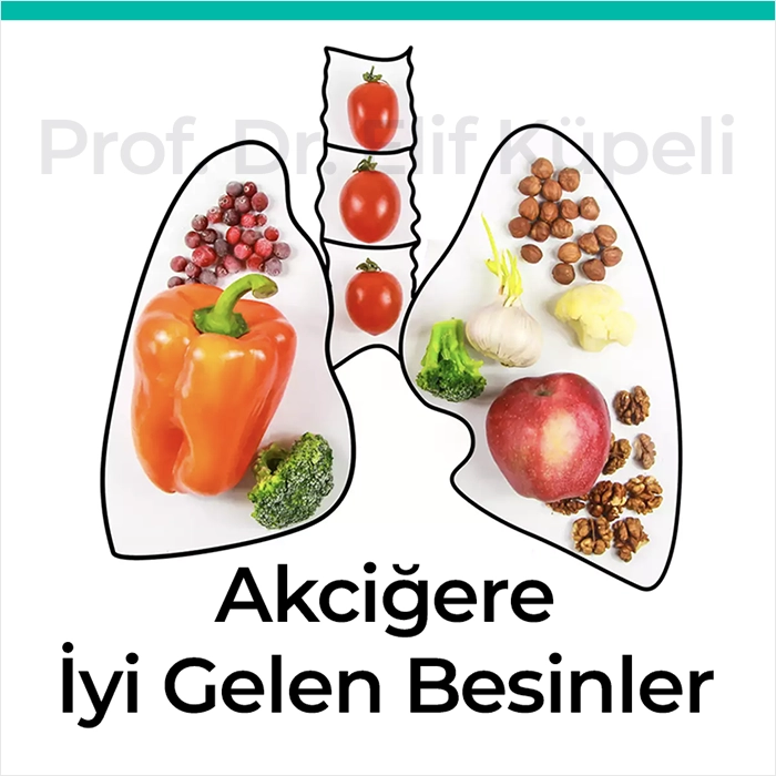 Akciğere İyi Gelen Besinler